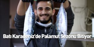 Batı Karadeniz'de Palamut Sezonu Bitiyor