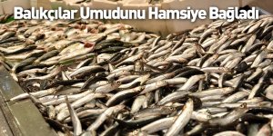 Balıkçılar Umudunu Hamsiye Bağladı