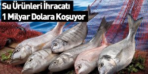 Su Ürünleri İhracatı 1 Milyar Dolara Koşuyor