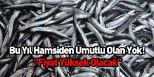Bu Yıl Hamsiden Umutlu Olan Yok! "Fiyat Yüksek Olacak"
