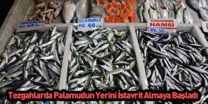 Tezgahlarda Palamudun Yerini İstavrit Almaya Başladı