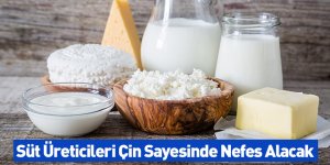 Süt Üreticileri Çin Sayesinde Nefes Alacak