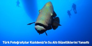 Türk Fotoğrafçılar Kızıldeniz'in Su Altı Güzelliklerini Yansıttı