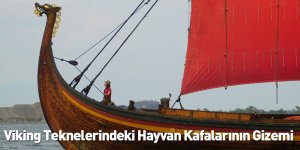 Viking Teknelerindeki Hayvan Kafalarının Gizemi