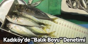 Kadıköy'de "Balık Boyu" Denetimi
