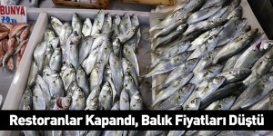 Restoranlar Kapandı, Balık Fiyatları Düştü