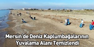 Mersin'de Deniz Kaplumbağalarının Yuvalama Alanı Temizlendi
