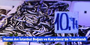 Hamsi Avı İstanbul Boğazı ve Karadeniz'de Yasaklandı