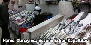 Hamsi Olmayınca Sezonu Erken Kapattılar