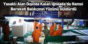 Yasaklı Alan Dışında Kalan İğneada'da Hamsi Bereketi Balıkçının Yüzünü Güldürdü