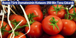 Rusya Türk Domatesinin Kotasını 250 Bin Tona Çıkardı