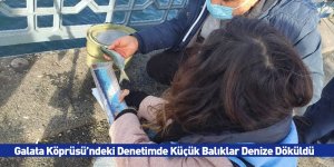 Galata Köprüsü’ndeki Denetimde Küçük Balıklar Denize Döküldü