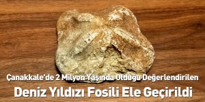 Çanakkale'de 2 Milyon Yaşında Olduğu Değerlendirilen Deniz Yıldızı Fosili Ele Geçirildi