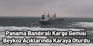 Panama Bandıralı Kargo Gemisi Beykoz Açıklarında Karaya Oturdu