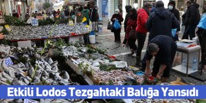 Etkili Lodos Tezgahtaki Balığa Yansıdı