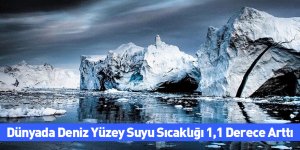 Dünyada Deniz Yüzey Suyu Sıcaklığı 1,1 Derece Arttı