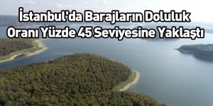 İstanbul'da Barajların Doluluk Oranı Yüzde 45 Seviyesine Yaklaştı