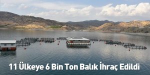 11 Ülkeye 6 Bin Ton Balık İhraç Edildi