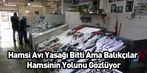 Hamsi Avı Yasağı Bitti Ama Balıkçılar Hamsinin Yolunu Gözlüyor