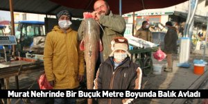 Murat Nehrinde Bir Buçuk Metre Boyunda Balık Avladı