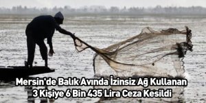 Mersin'de Balık Avında İzinsiz Ağ Kullanan 3 Kişiye 6 Bin 435 Lira Ceza Kesildi
