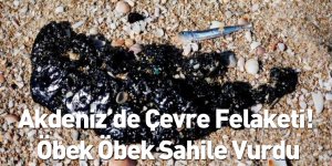 Akdeniz’de Çevre Felaketi! Öbek Öbek Sahile Vurdu