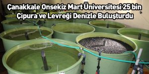 Çanakkale Onsekiz Mart Üniversitesi 25 bin Çipura ve Levreği Denizle Buluşturdu