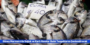 Güney Marmara'da Soğuk ve Karlı Havalar Balık Tezgahlarını Şenlendirecek