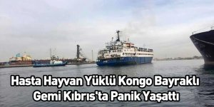 Hasta Hayvan Yüklü Kongo Bayraklı Gemi Kıbrıs'ta Panik Yaşattı