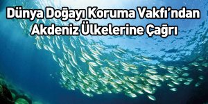 Dünya Doğayı Koruma Vakfı’ndan Akdeniz Ülkelerine Çağrı
