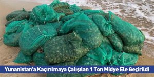 Yunanistan'a Kaçırılmaya Çalışılan 1 Ton Midye Ele Geçirildi