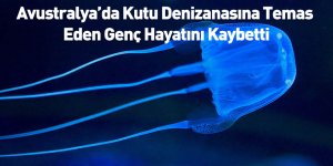 Avustralya’da Kutu Denizanasına Temas Eden Genç Hayatını Kaybetti