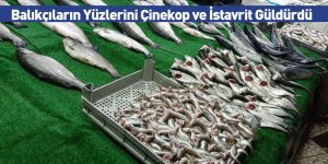 Balıkçıların Yüzlerini Çinekop ve İstavrit Güldürdü