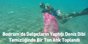 Bodrum'da Dalgıçların Yaptığı Deniz Dibi Temizliğinde Bir Ton Atık Toplandı