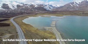 İnci Kefali Göçü Yetersiz Yağışlar Nedeniyle Bu Sene Zorlu Geçecek