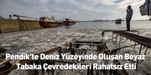 Pendik'te Deniz Yüzeyinde Oluşan Beyaz Tabaka Çevredekileri Rahatsız Etti