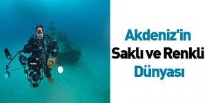 Akdeniz'in Saklı ve Renkli Dünyası