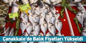 Çanakkale'de Balık Fiyatları Yükseldi