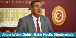 Akdeniz’deki Zehirli Balık Meclis Gündeminde