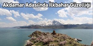 Akdamar Adası'nda İlkbahar Güzelliği