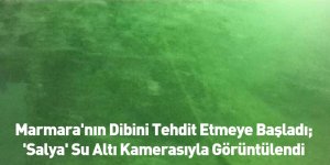 Marmara'nın Dibini Tehdit Etmeye Başladı; 'Salya' Su Altı Kamerasıyla Görüntülendi