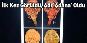 İlk Kez Görüldü, Adı ‘Adana’ Oldu