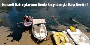 Kocaeli Balıkçılarının Deniz Salyalarıyla Başı Dertte!
