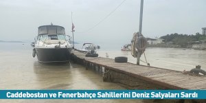 Caddebostan ve Fenerbahçe Sahillerini Deniz Salyaları Sardı