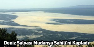 Deniz Salyası Mudanya Sahili'ni Kapladı