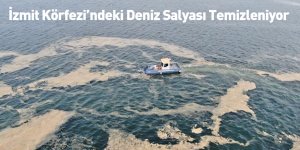 İzmit Körfezi’ndeki Deniz Salyası Temizleniyor