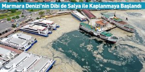 Marmara Denizi'nin Dibi de Salya ile Kaplanmaya Başlandı