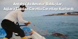Antalya’da Amatör Balıkçılar, Ağlara Takılan Caretta Carettayı Kurtardı