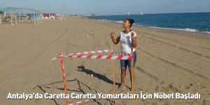 Antalya'da Caretta Caretta Yumurtaları İçin Nöbet Başladı