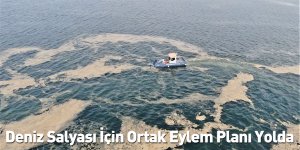 Deniz Salyası İçin Ortak Eylem Planı Yolda